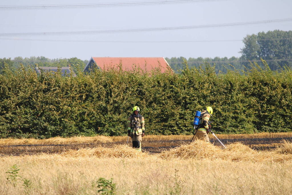 Flinke brand in graanveld