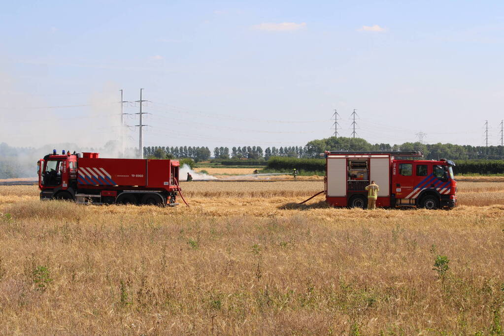 Flinke brand in graanveld