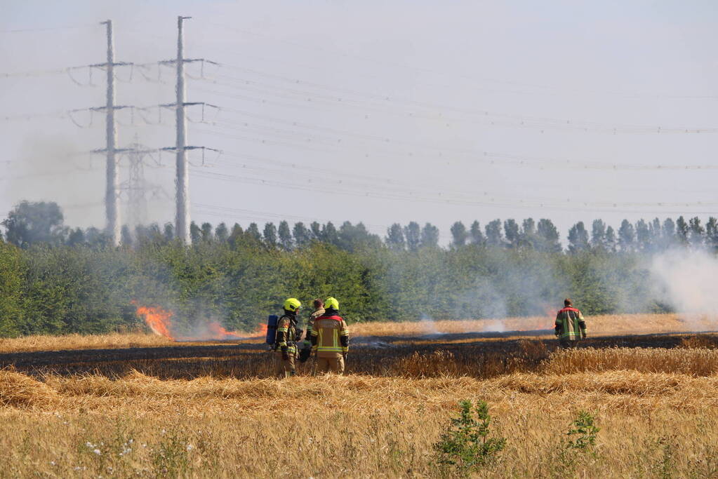 Flinke brand in graanveld