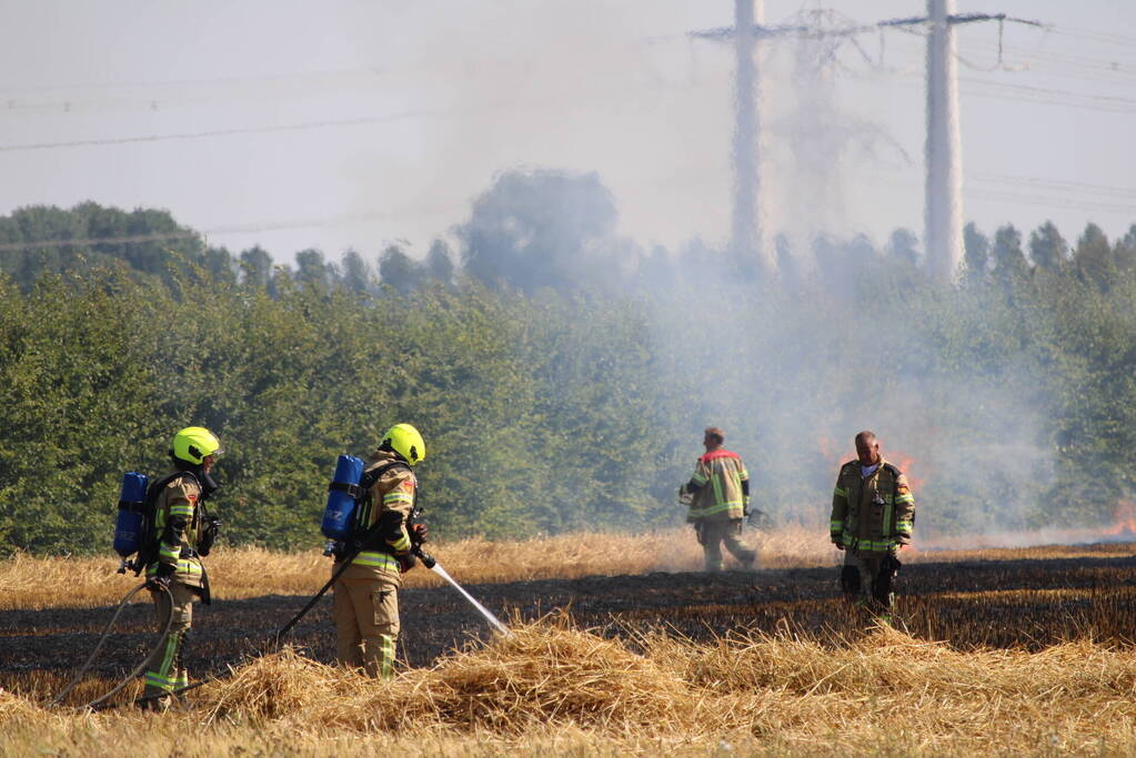 Flinke brand in graanveld