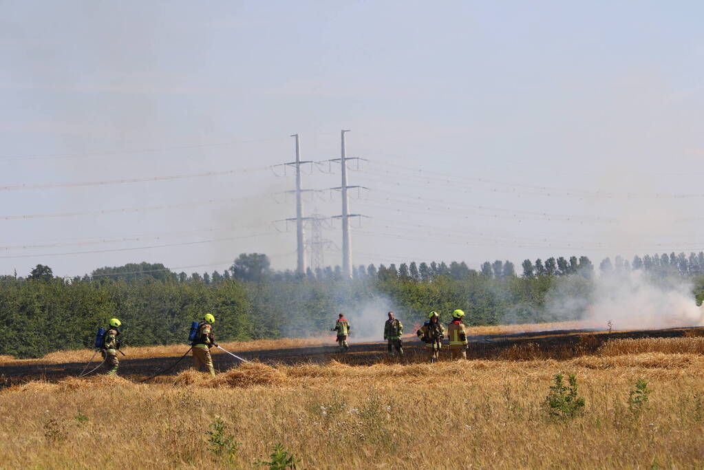 Flinke brand in graanveld