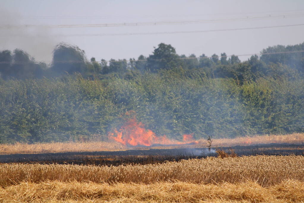 Flinke brand in graanveld