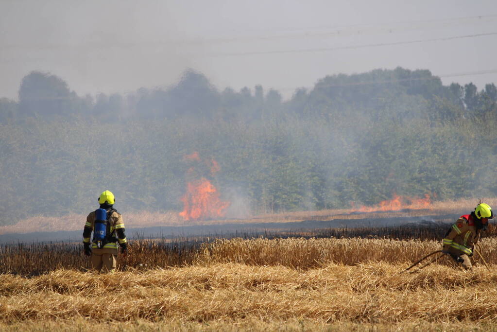 Flinke brand in graanveld