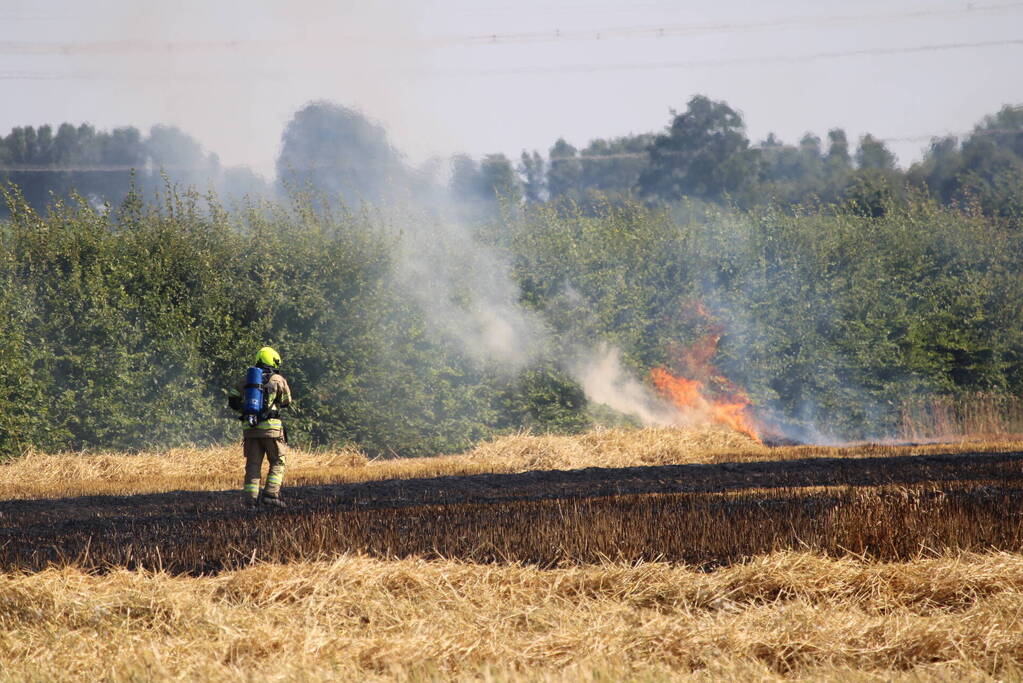Flinke brand in graanveld