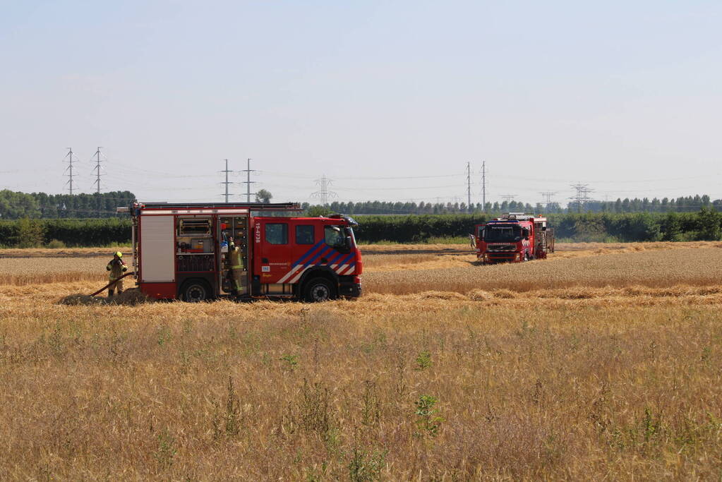 Flinke brand in graanveld