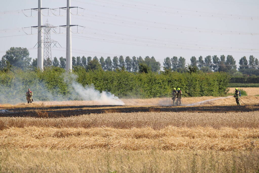 Flinke brand in graanveld
