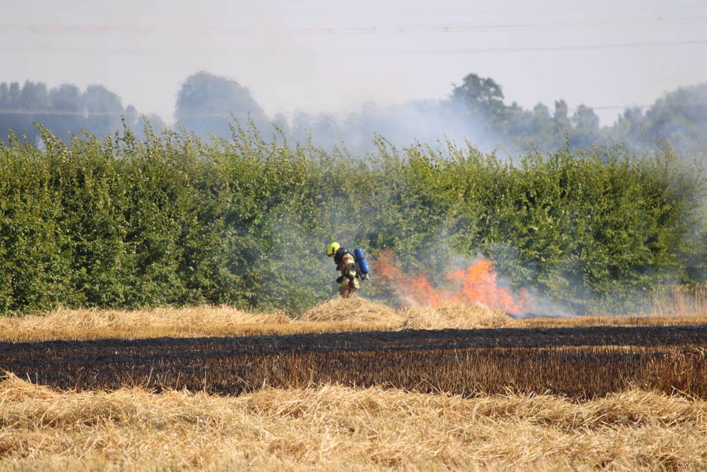 Flinke brand in graanveld