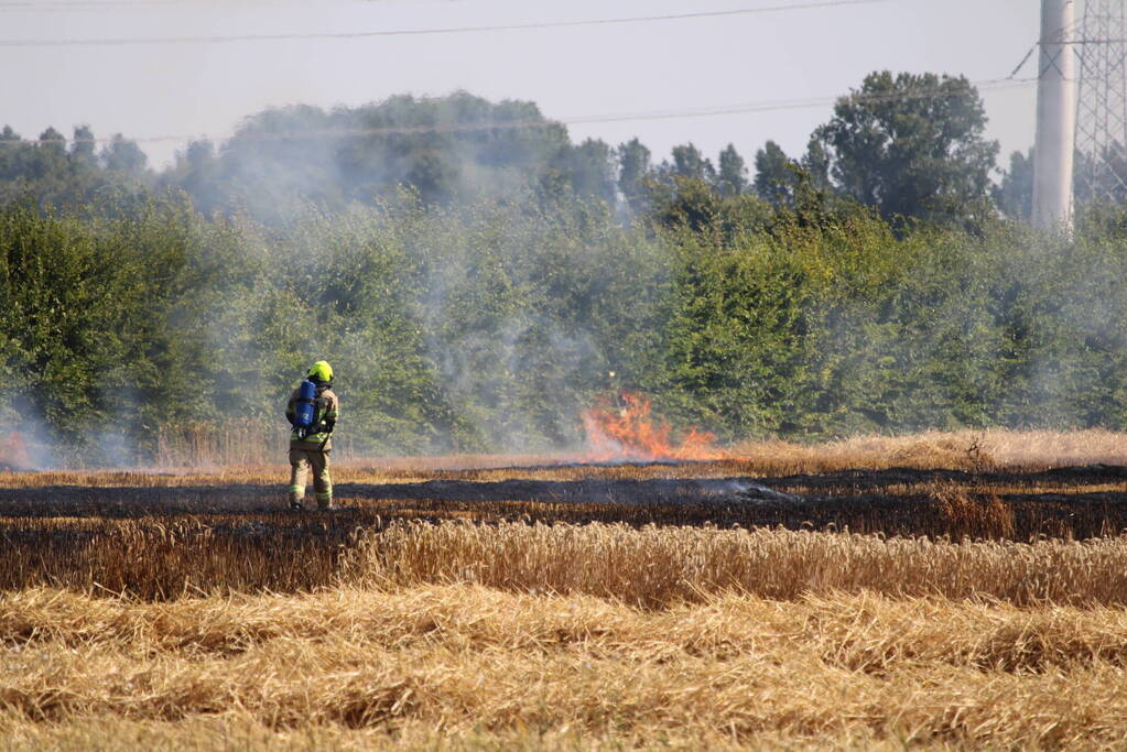 Flinke brand in graanveld