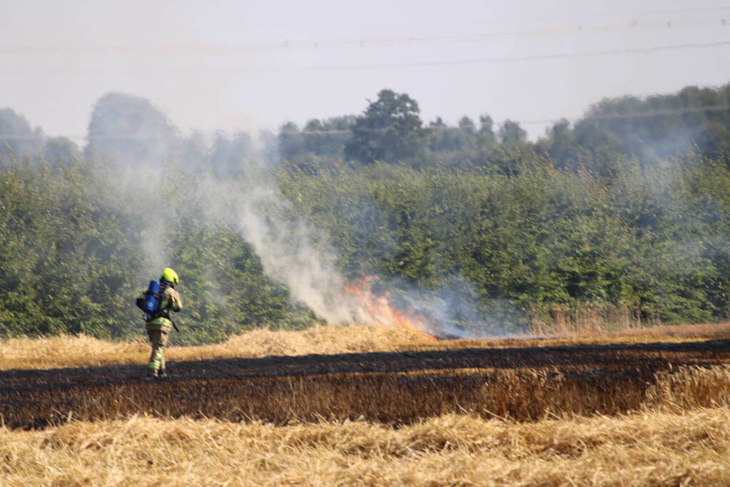 Flinke brand in graanveld