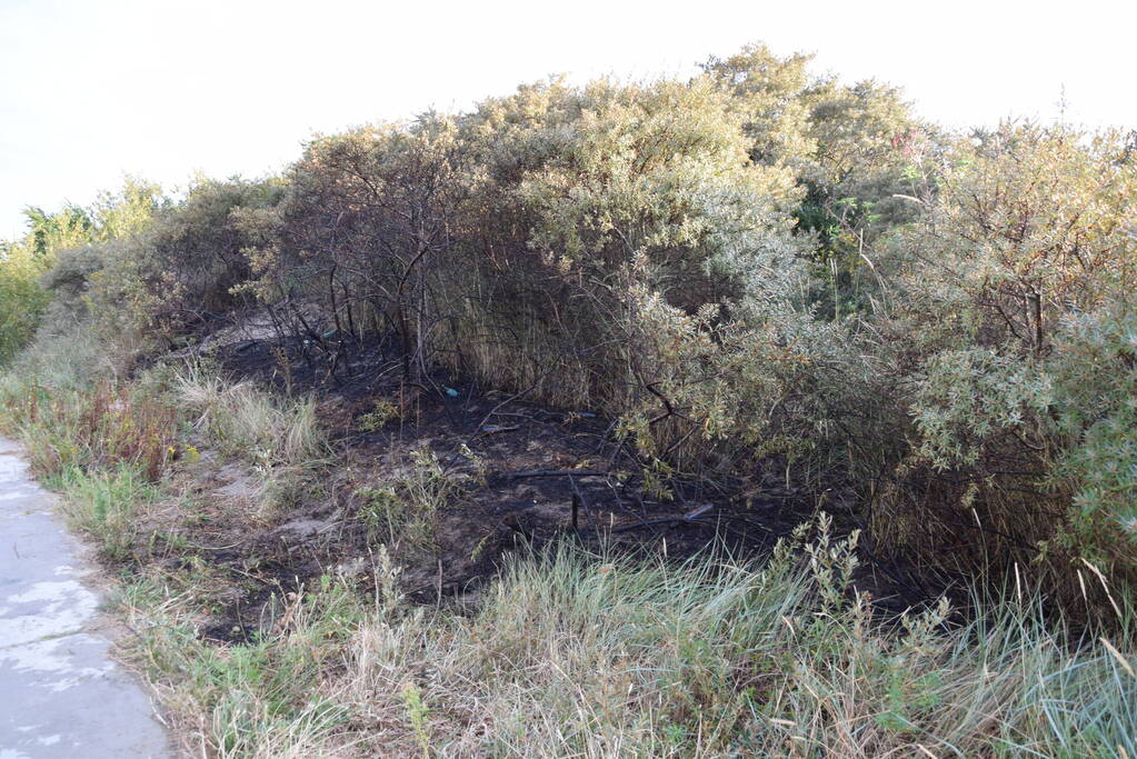Duinbrand snel onder controle