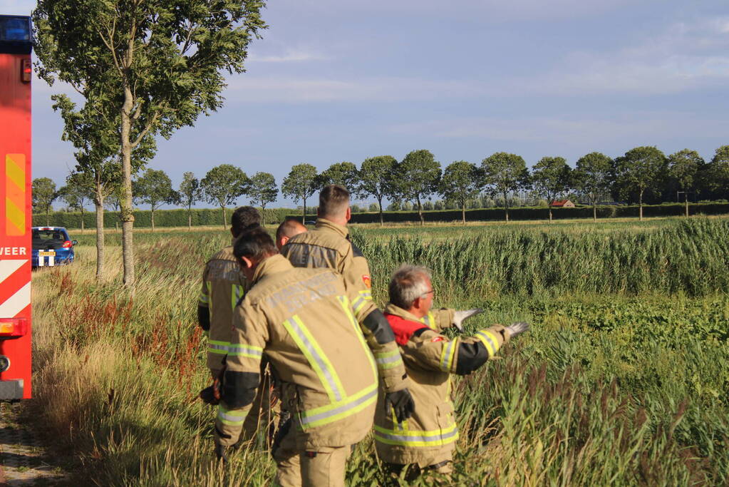 Veel mankrachten ingezet bij paard te water