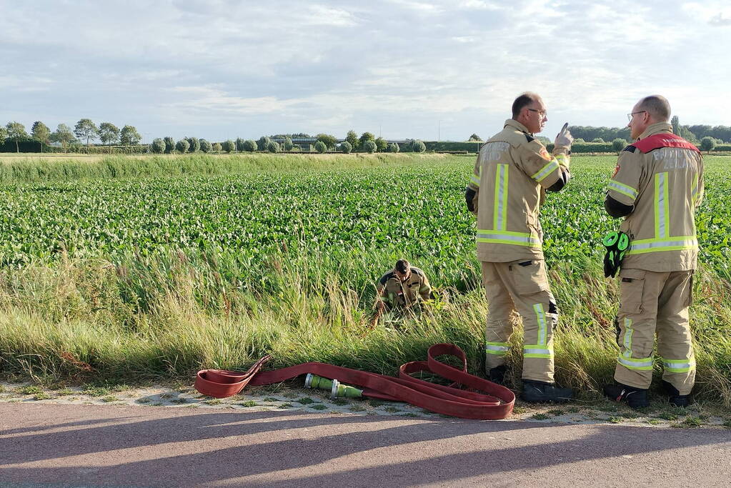 Veel mankrachten ingezet bij paard te water