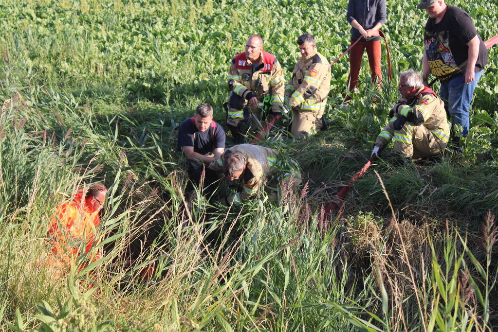 Veel mankrachten ingezet bij paard te water