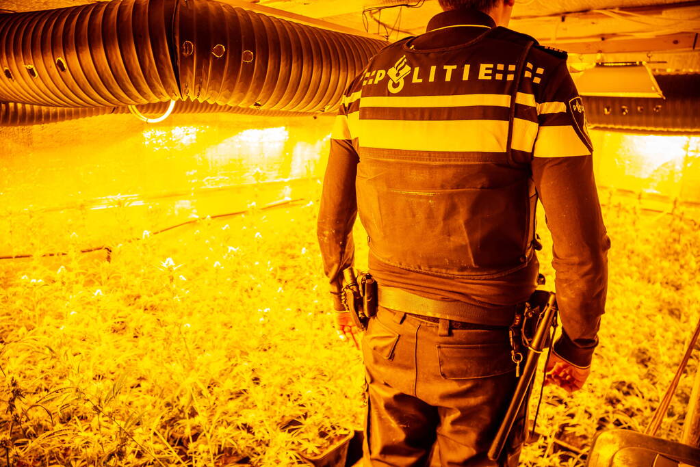 Hennepkwekerij aangetroffen in bedrijfspand