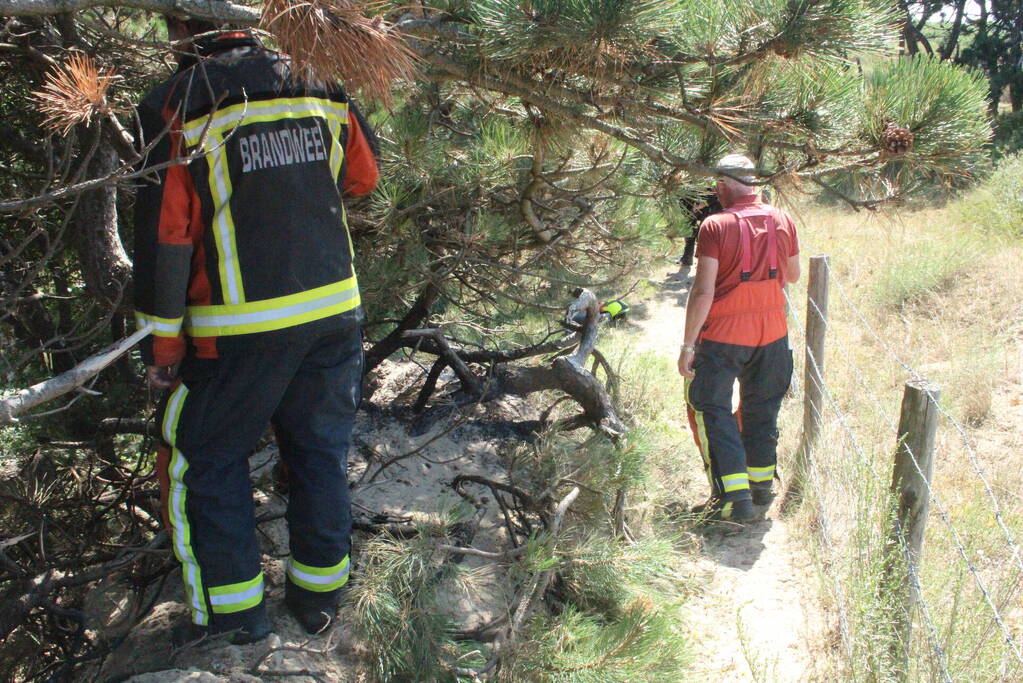 Brand in natuurgebied snel geblust