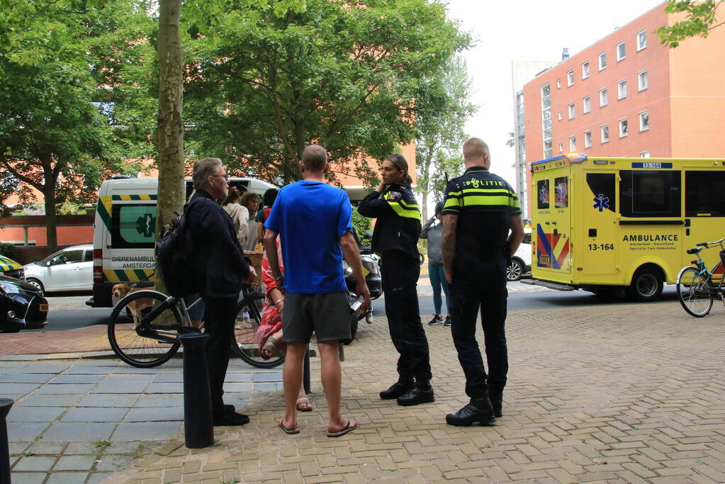 Enorme rookwolken bij brand in appartement