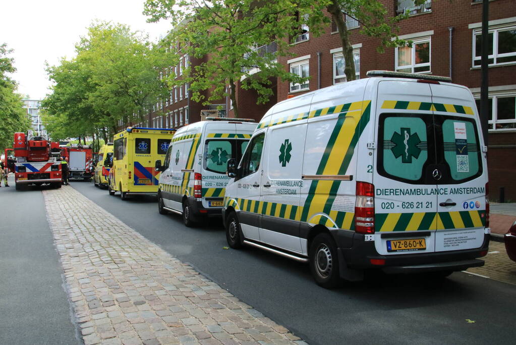 Enorme rookwolken bij brand in appartement