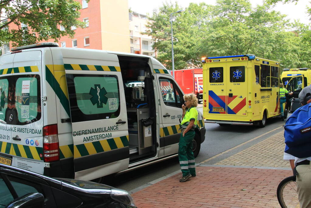 Enorme rookwolken bij brand in appartement