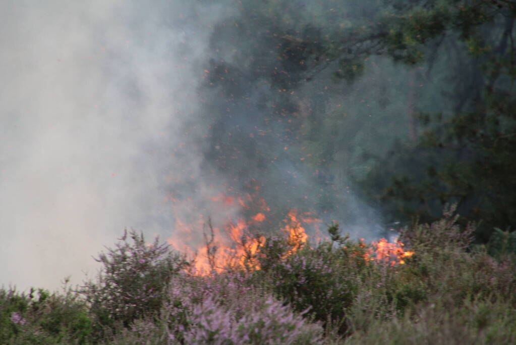 Kampvuur veroorzaakt heidebrand