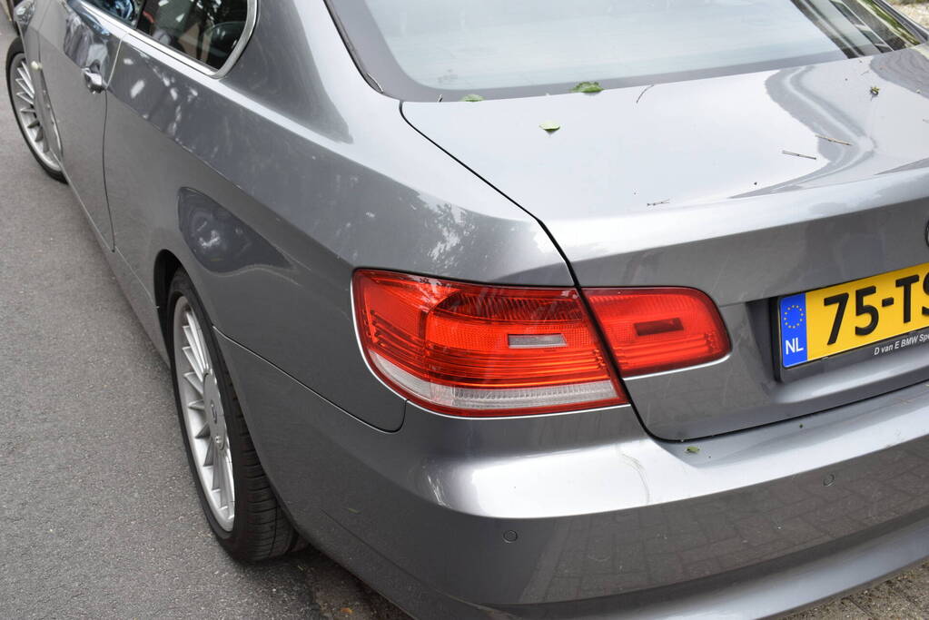 Grote tak breekt van boom af