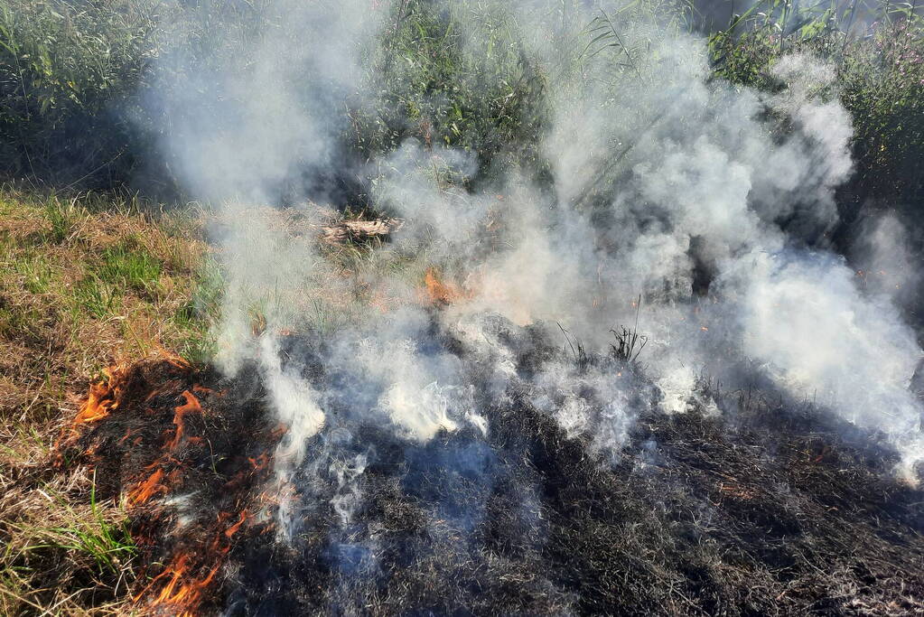 Omstanders doven bermbrand met kleed