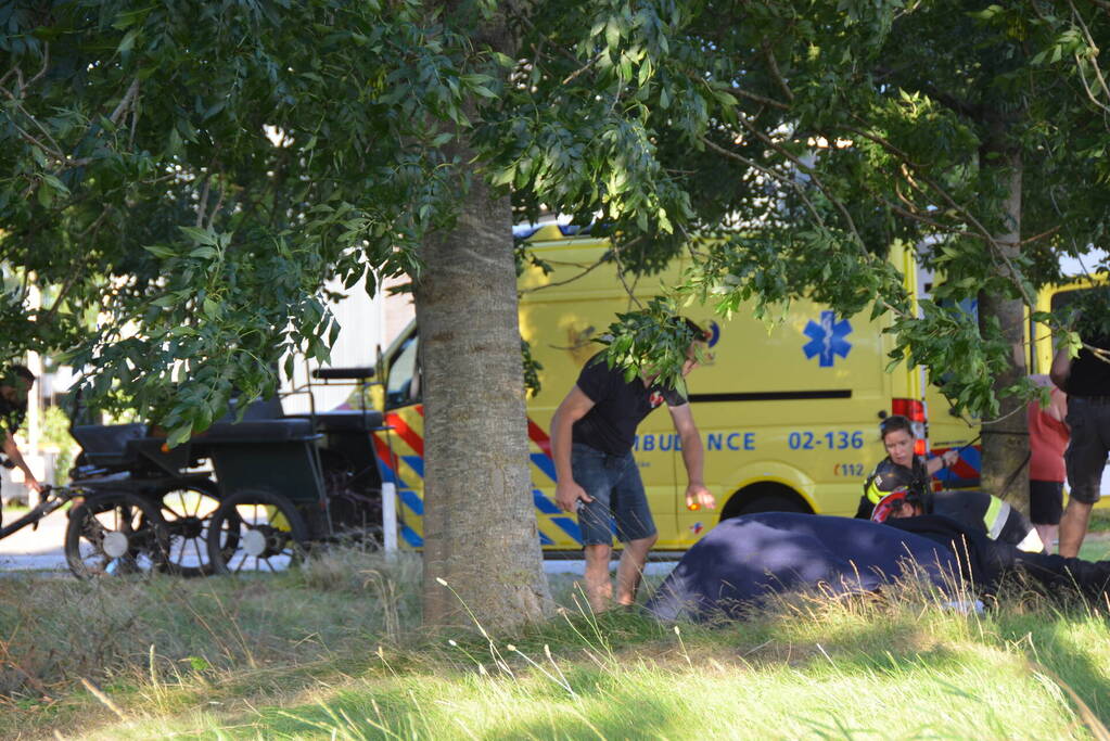 Op hol geslagen paard veroorzaakt meerdere ongevallen met gewonden