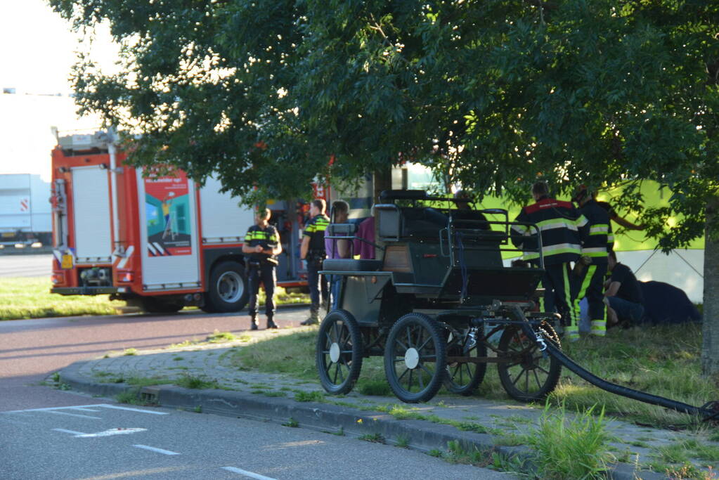 Op hol geslagen paard veroorzaakt meerdere ongevallen met gewonden