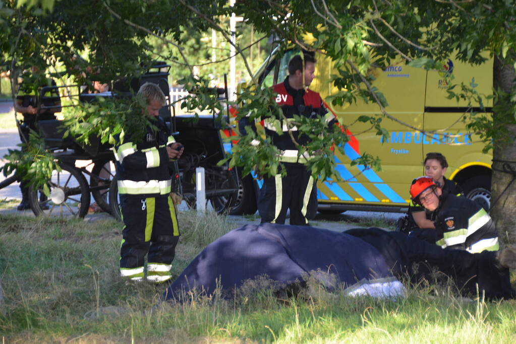 Op hol geslagen paard veroorzaakt meerdere ongevallen met gewonden