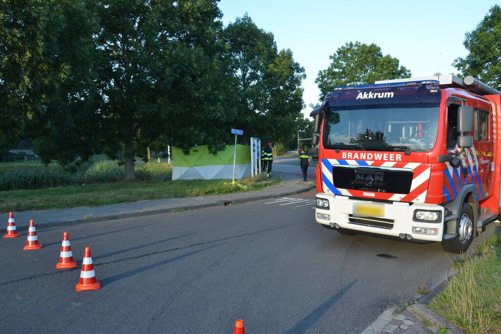 Op hol geslagen paard veroorzaakt meerdere ongevallen met gewonden