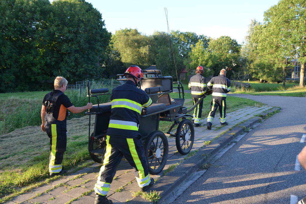 Op hol geslagen paard veroorzaakt meerdere ongevallen met gewonden