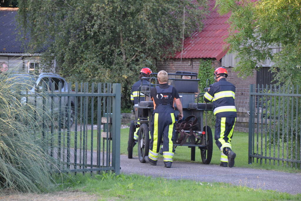 Op hol geslagen paard veroorzaakt meerdere ongevallen met gewonden