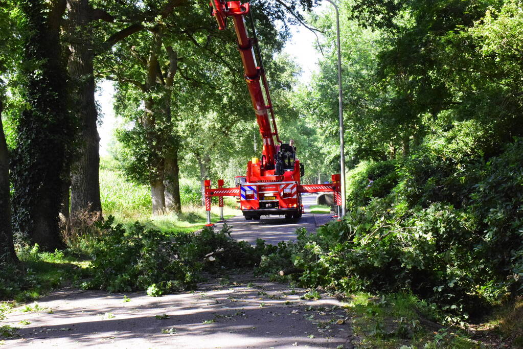 Weg naar zwembad De Vrije Slag afgesloten door loshangende takken