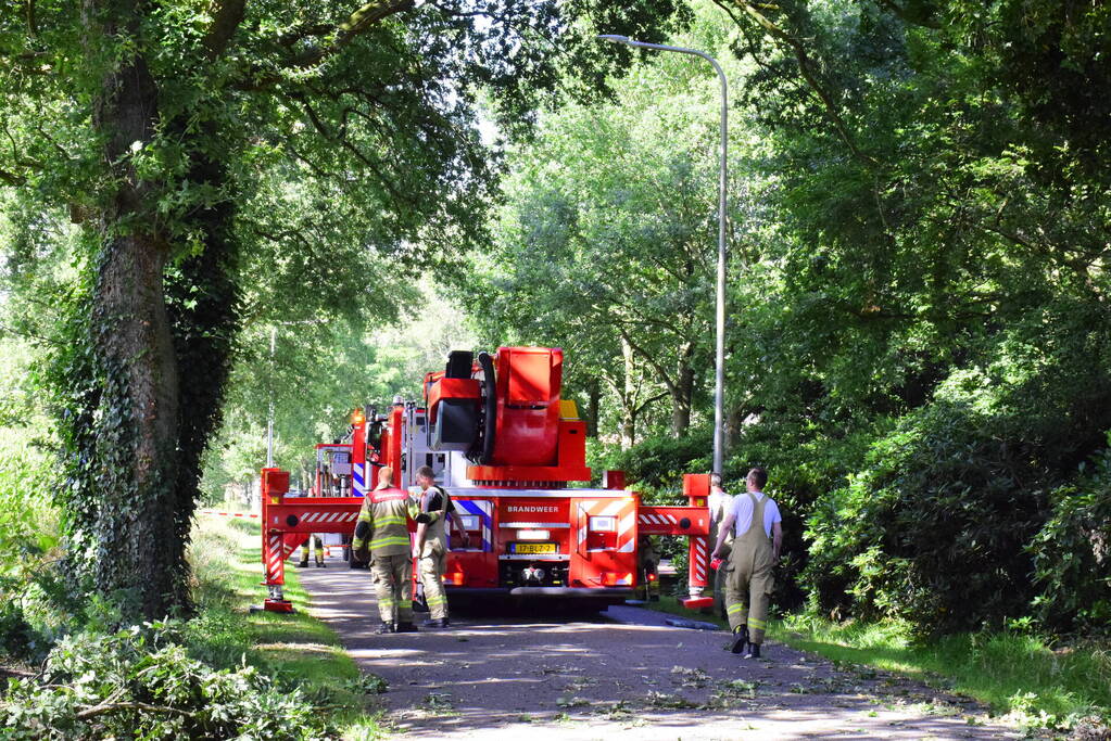 Weg naar zwembad De Vrije Slag afgesloten door loshangende takken
