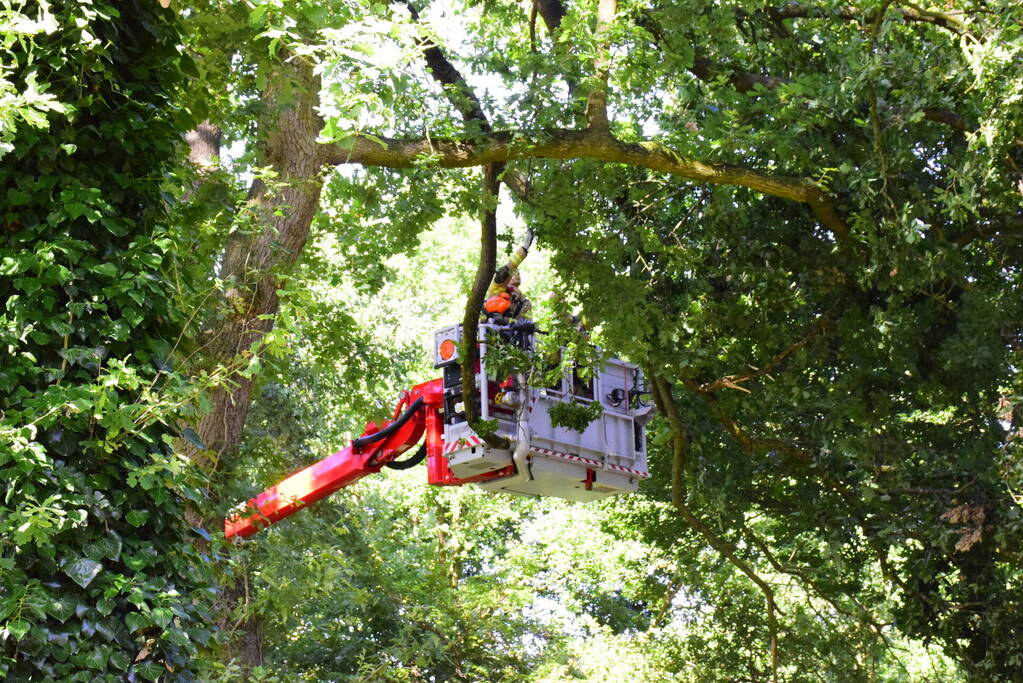 Weg naar zwembad De Vrije Slag afgesloten door loshangende takken