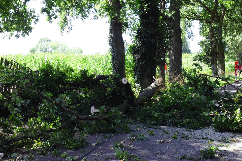 Weg naar zwembad De Vrije Slag afgesloten door loshangende takken