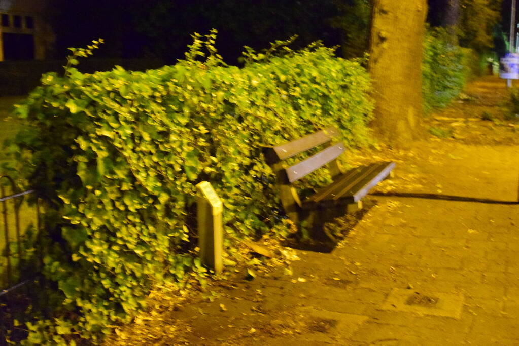 Bliksem slaat in boom man komt met schrik vrij