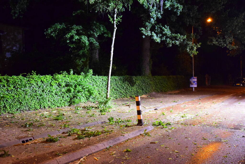 Bliksem slaat in boom man komt met schrik vrij