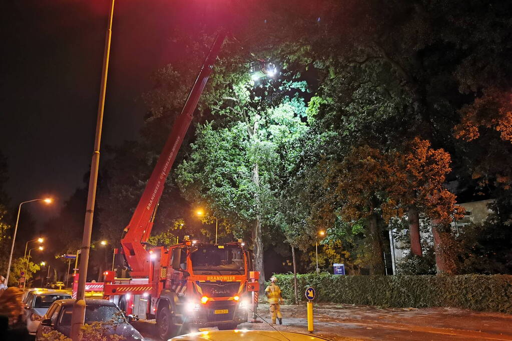 Bliksem slaat in boom man komt met schrik vrij