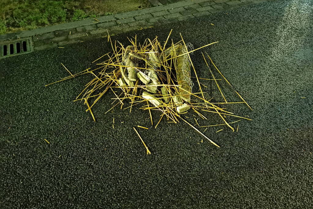 Brandweer controleert rietendak na blikseminslag