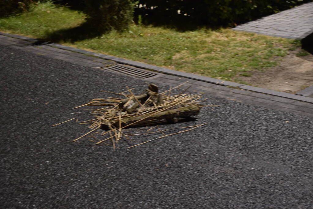 Brandweer controleert rietendak na blikseminslag