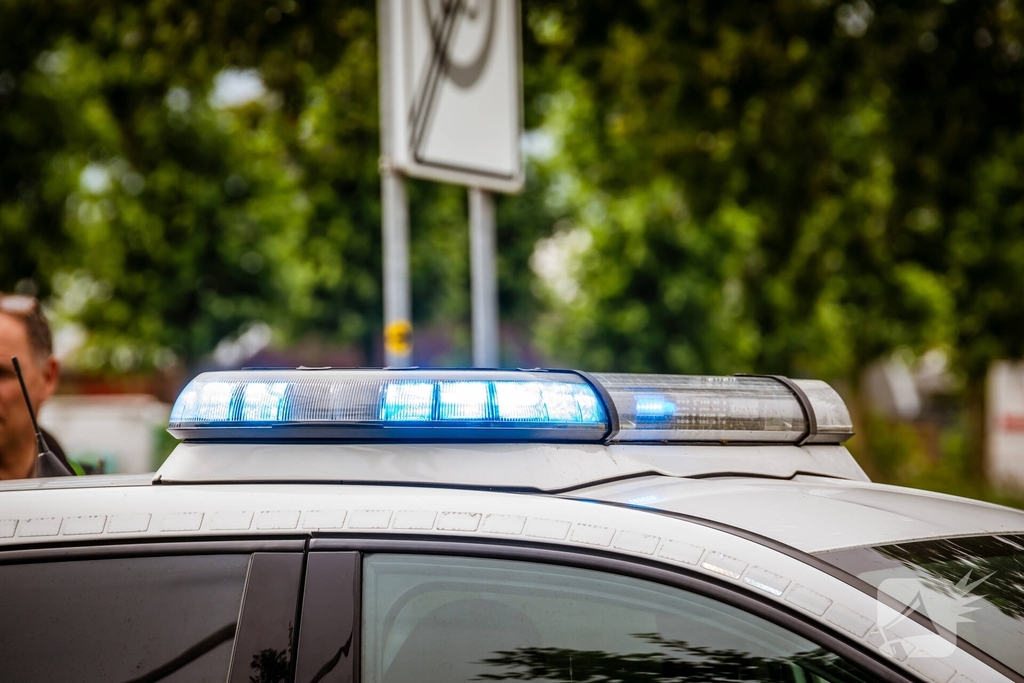 Automobilist rijdt tegen boom