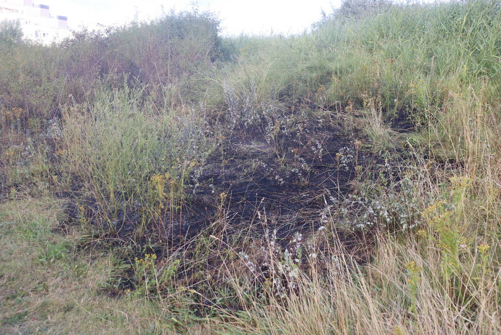 Stuk bosschage verwoest vanwege brand