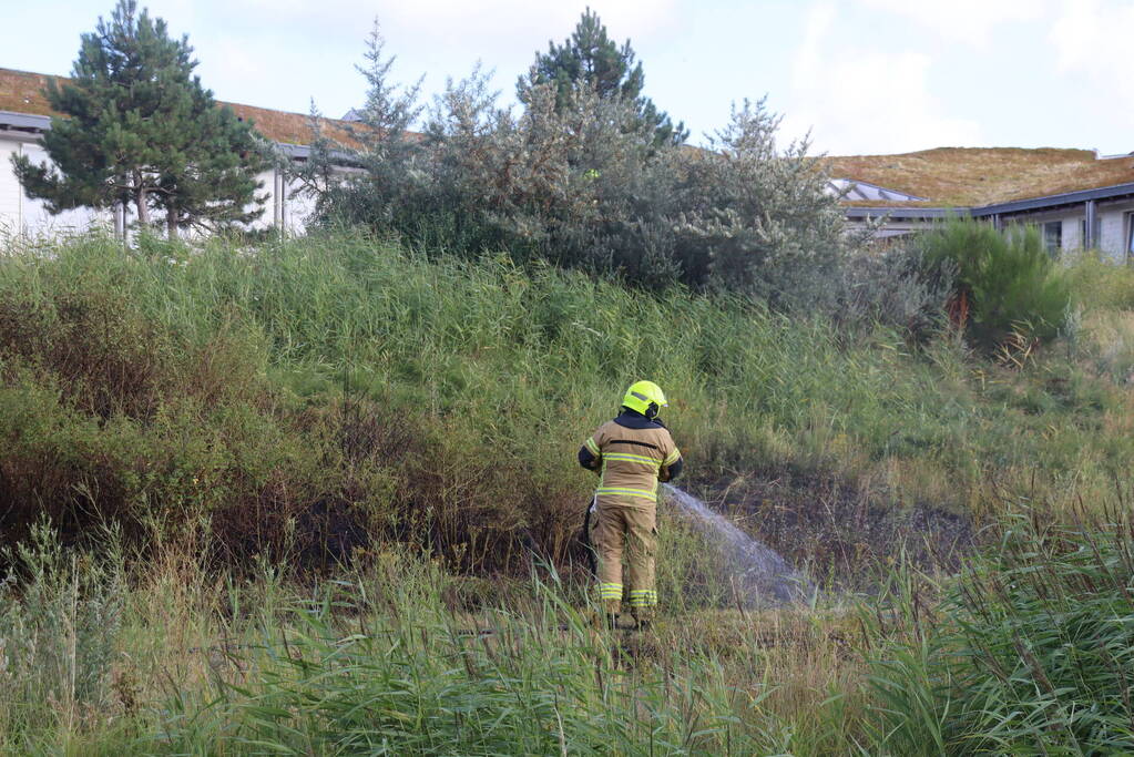 Stuk bosschage verwoest vanwege brand