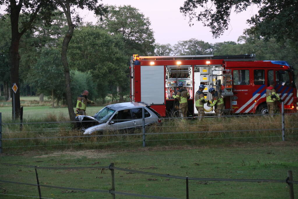 Auto zwaar beschadigd na botsing tegen boom