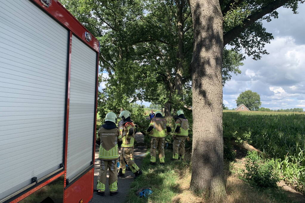 Omgevallen boom zorgt voor stremming