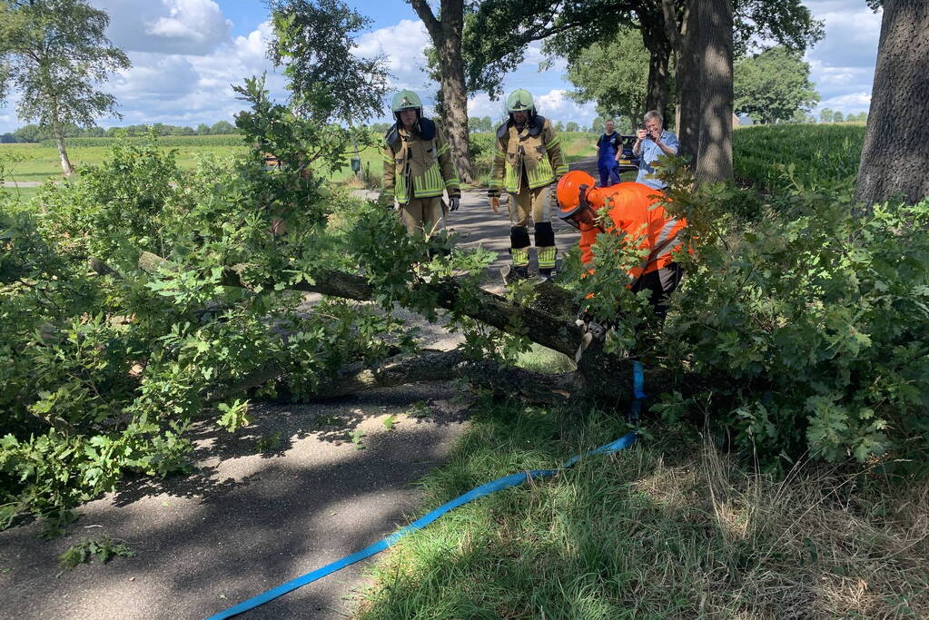 Omgevallen boom zorgt voor stremming
