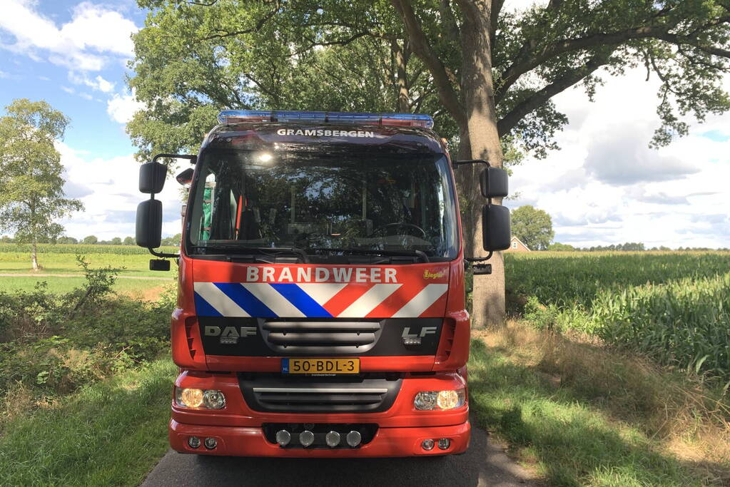 Omgevallen boom zorgt voor stremming