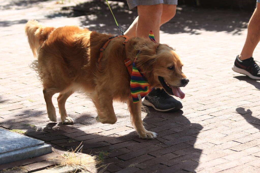 Gezellige drukte tijden Gay Pride 2022