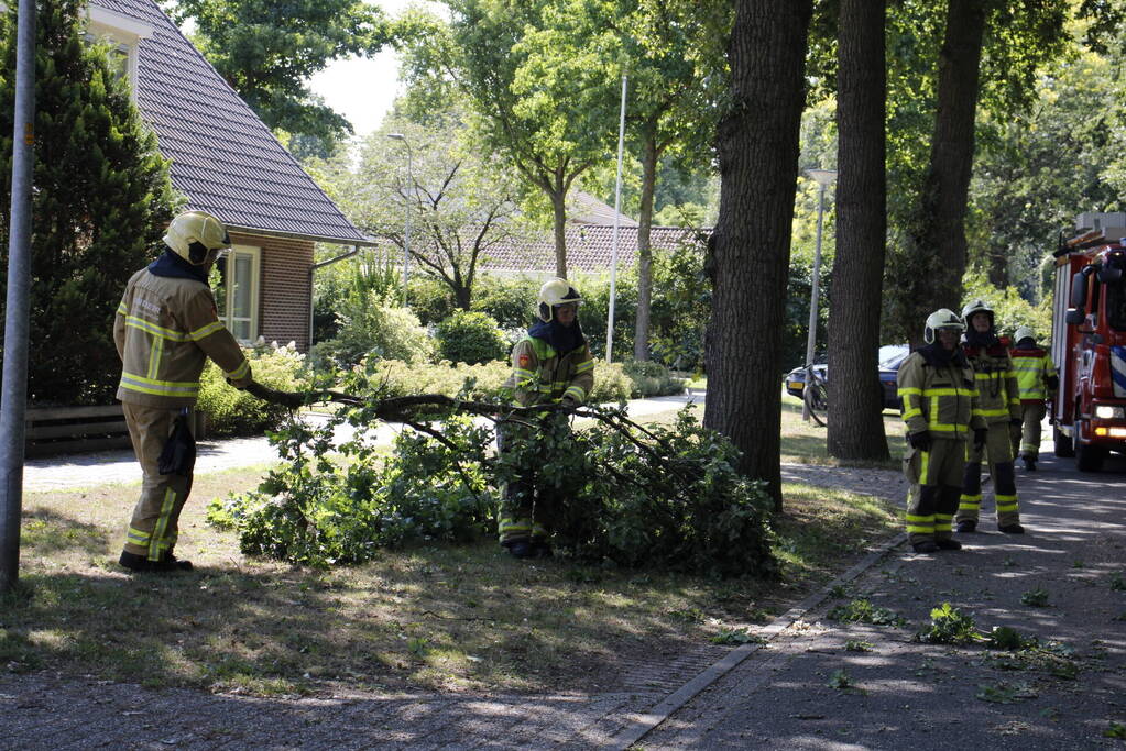 Brandweer haalt gevaarlijk hangende takken uit boom