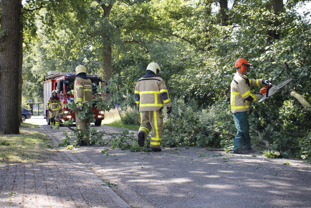 Brandweer haalt gevaarlijk hangende takken uit boom
